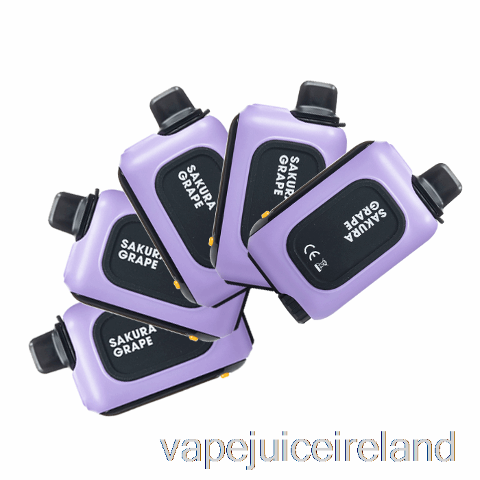 Vape Juice [5-Pack] Instabar WT15000 Disposable